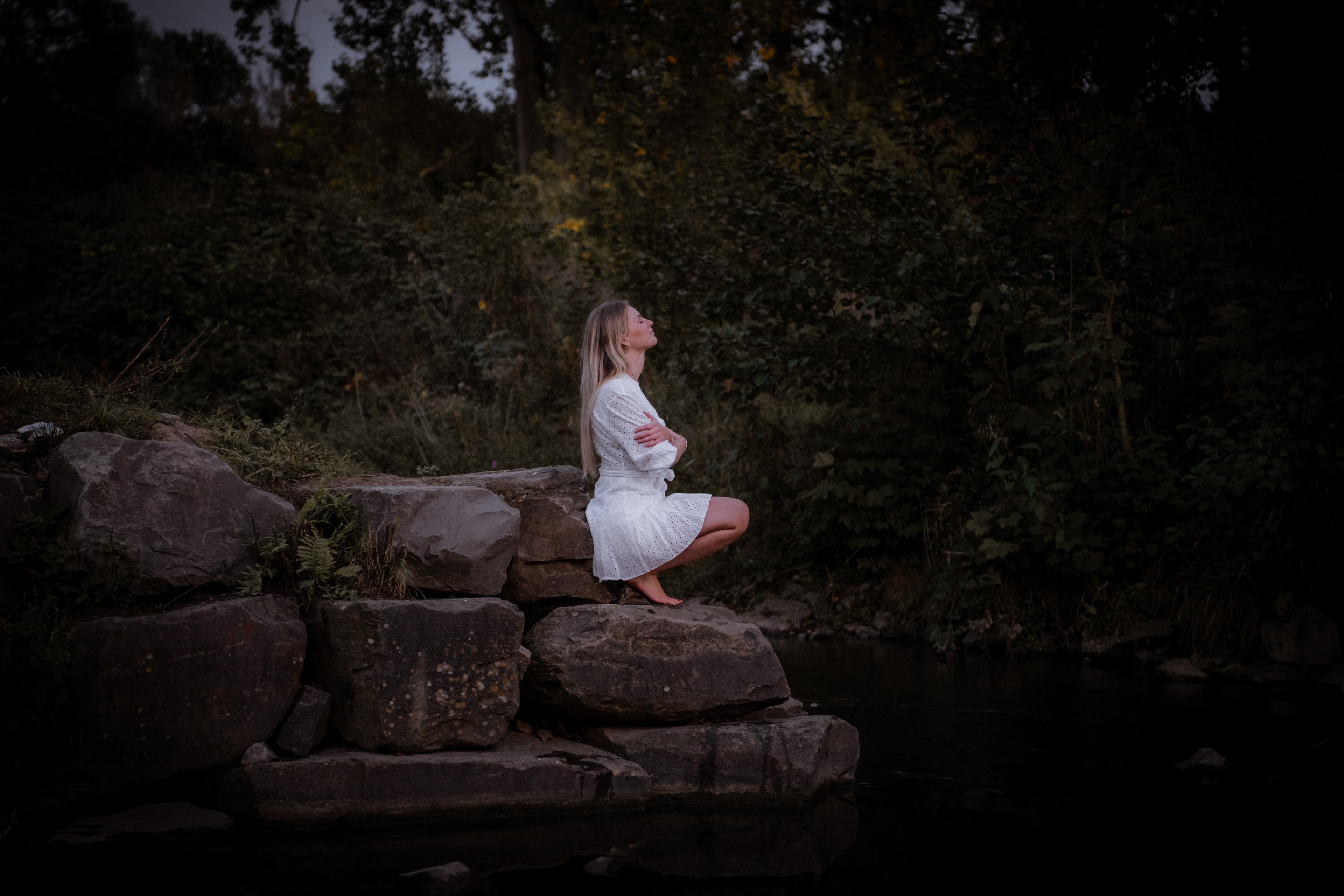 Hero - Holistic Wellness Environment